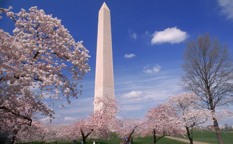 Best Places to Visit in Washington Dc